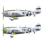 P-47D Thunderbolt Bubbletop 1/48 | Sumka