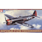 1/48 P-47M Thunderbolt | Sumka