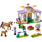 41746 LEGO® Friends Тренировка лошадей | Sumka