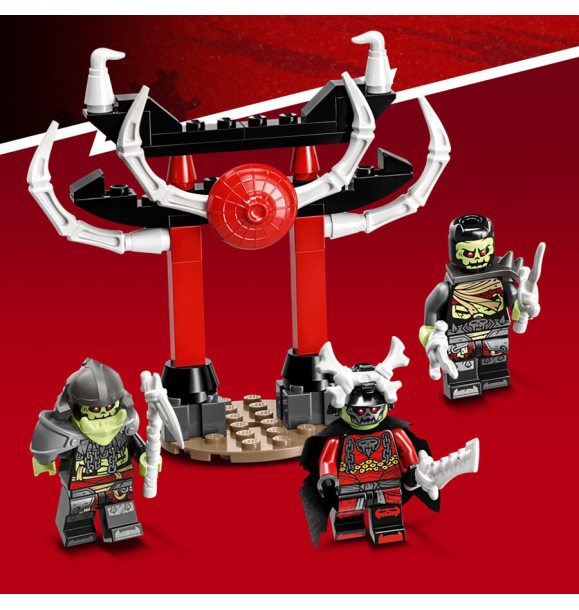 71786 LEGO® NINJAGO® Ледяной дракон Зейна | Sumka