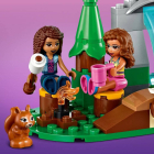 41677 LEGO® Friends Лесной водопад | Sumka