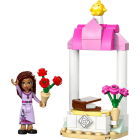 30661 LEGO® Disney Приветственный стенд принцессы Аши | Sumka