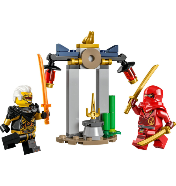 30650 LEGO® NINJAGO Битва Кай и Рэптона в храме | Sumka