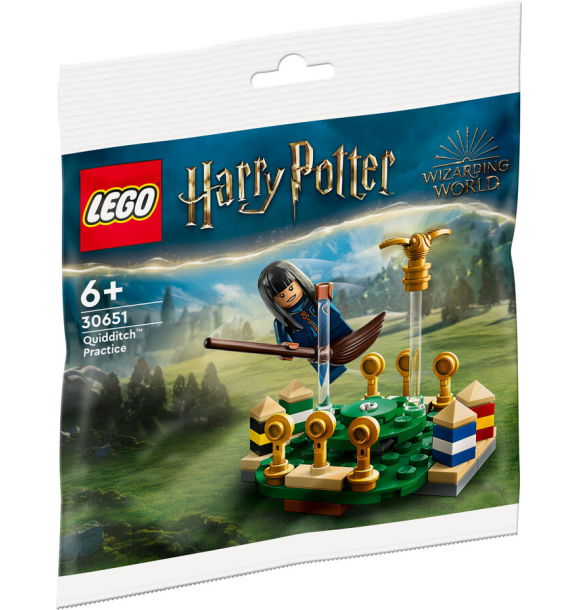 30651 LEGO® Harry Potter™ Практика по квиддичу™ | Sumka