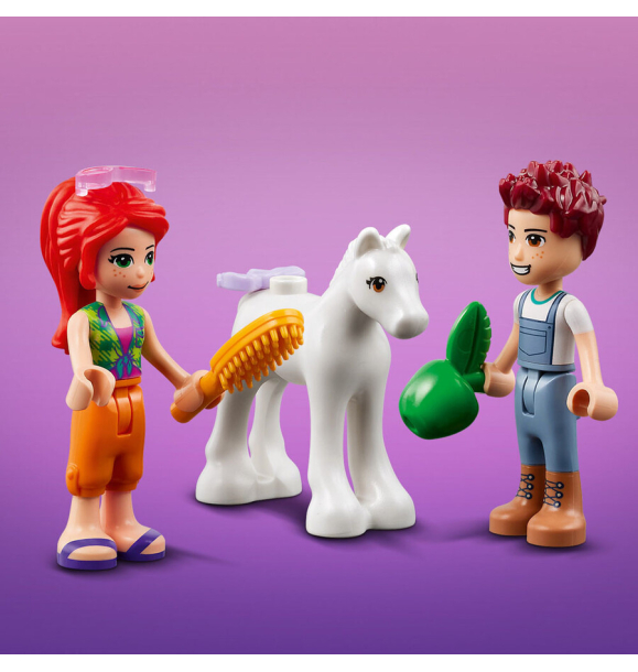 41696 LEGO Friends Сарай для стирки пони | Sumka