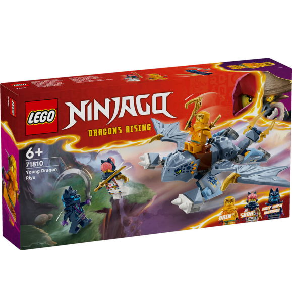 71810 LEGO® NINJAGO Молодой дракон Рию | Sumka