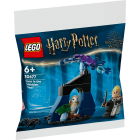 30677 LEGO® Harry Potter Драко в Запретном лесу | Sumka