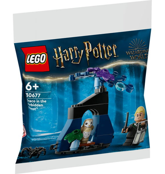 30677 LEGO® Harry Potter Драко в Запретном лесу | Sumka