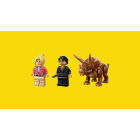 76959 LEGO® Jurassic World: Поиск трицератопсов | Sumka