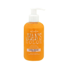 Цвет волос Jean's Color Golden Blonde (Золотой блонд) 250 мл. Безаммиачная краска для волос с цветными балаяжами. | Sumka